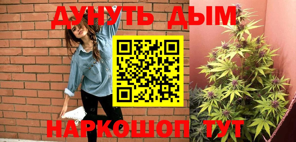 Каннабис OG Kush Дедовск